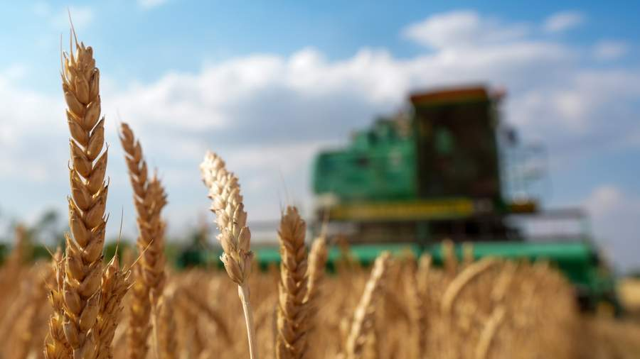 Фото: ИЗВЕСТИЯ/Эдуард Корниенко