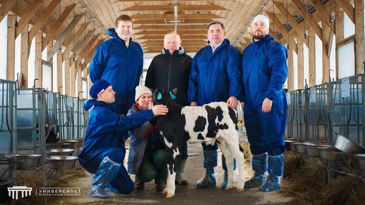    Фото: t.me/spbguvm_media