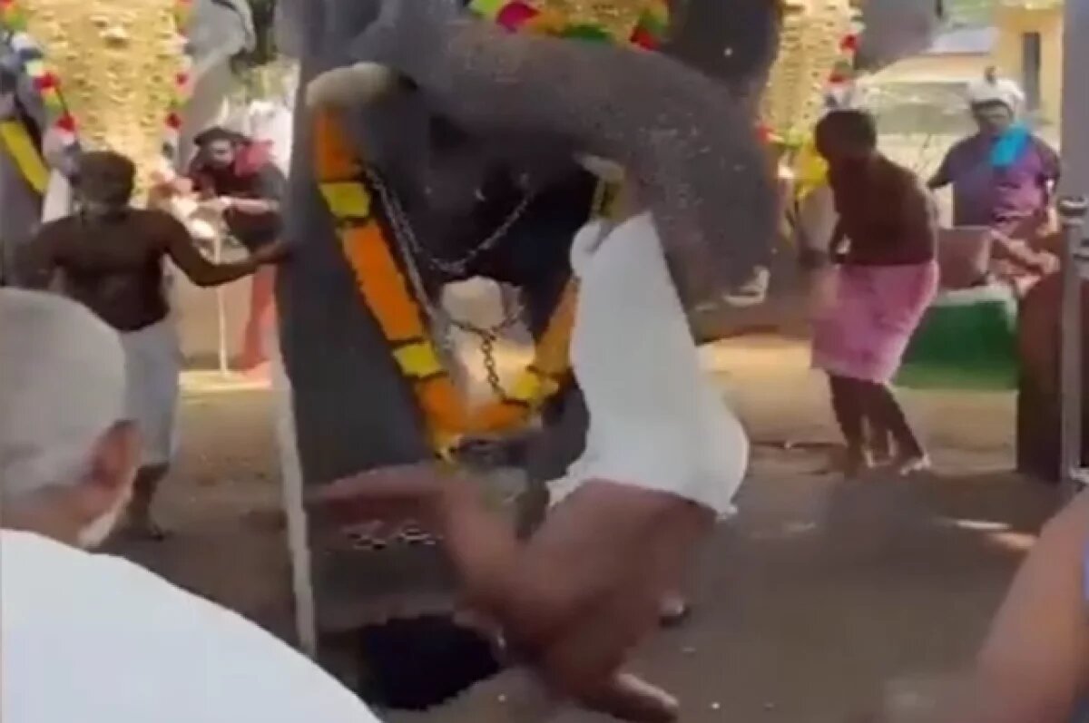    Появились жуткие кадры нападения слона на священника в Индии