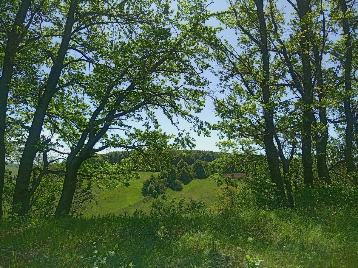 Недалеко от источника "12 ключей" (фото автора)