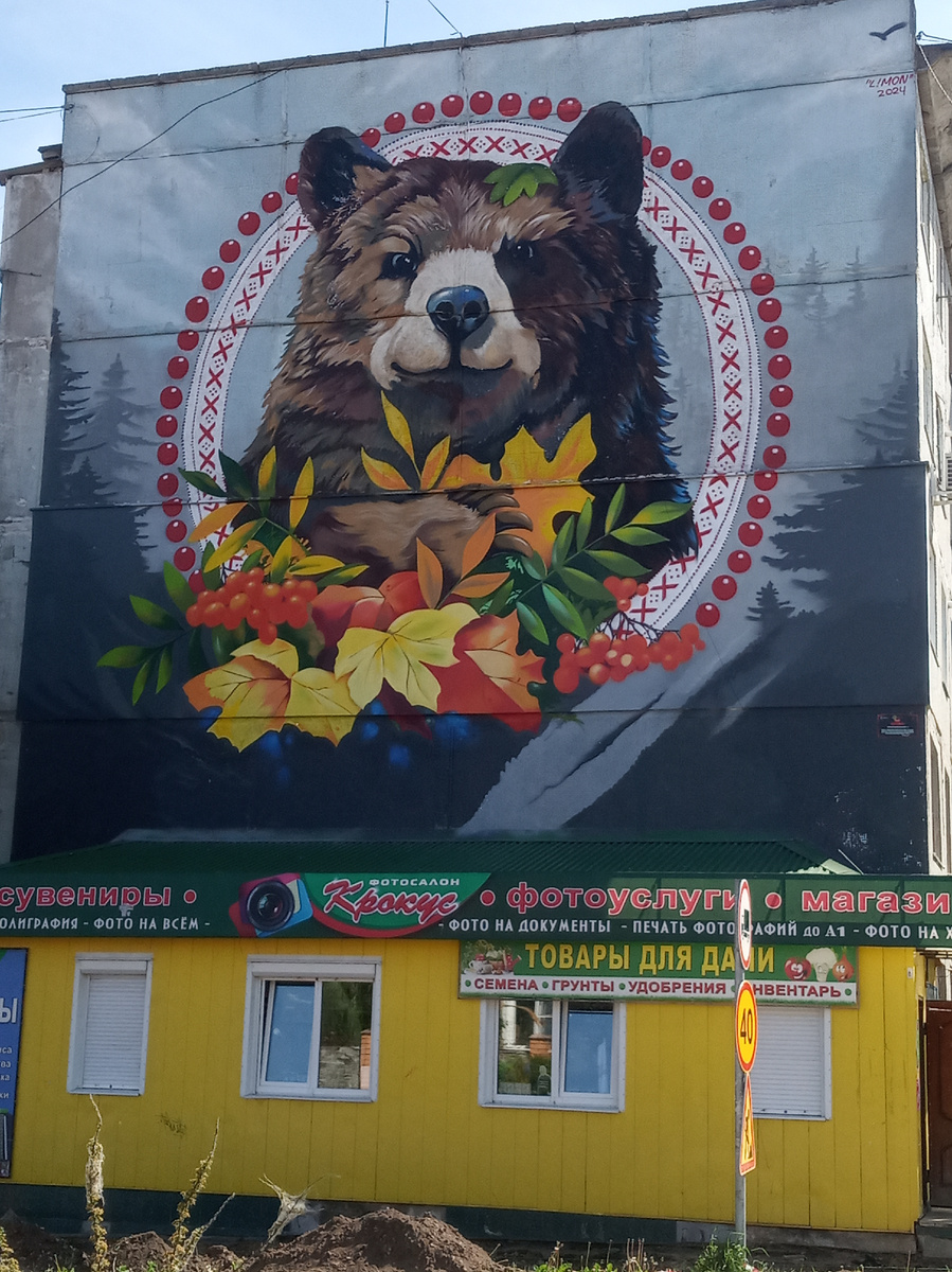 Красавец медведь отвлекает от разрытой вдоль и поперек дороги (фото автора) 