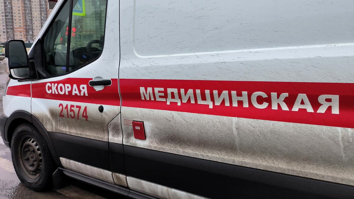    Фото: Maksim Konstantinov/globallookpress.com