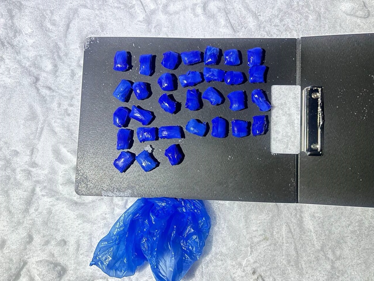    Фото: УМВД России по Оренбургской области