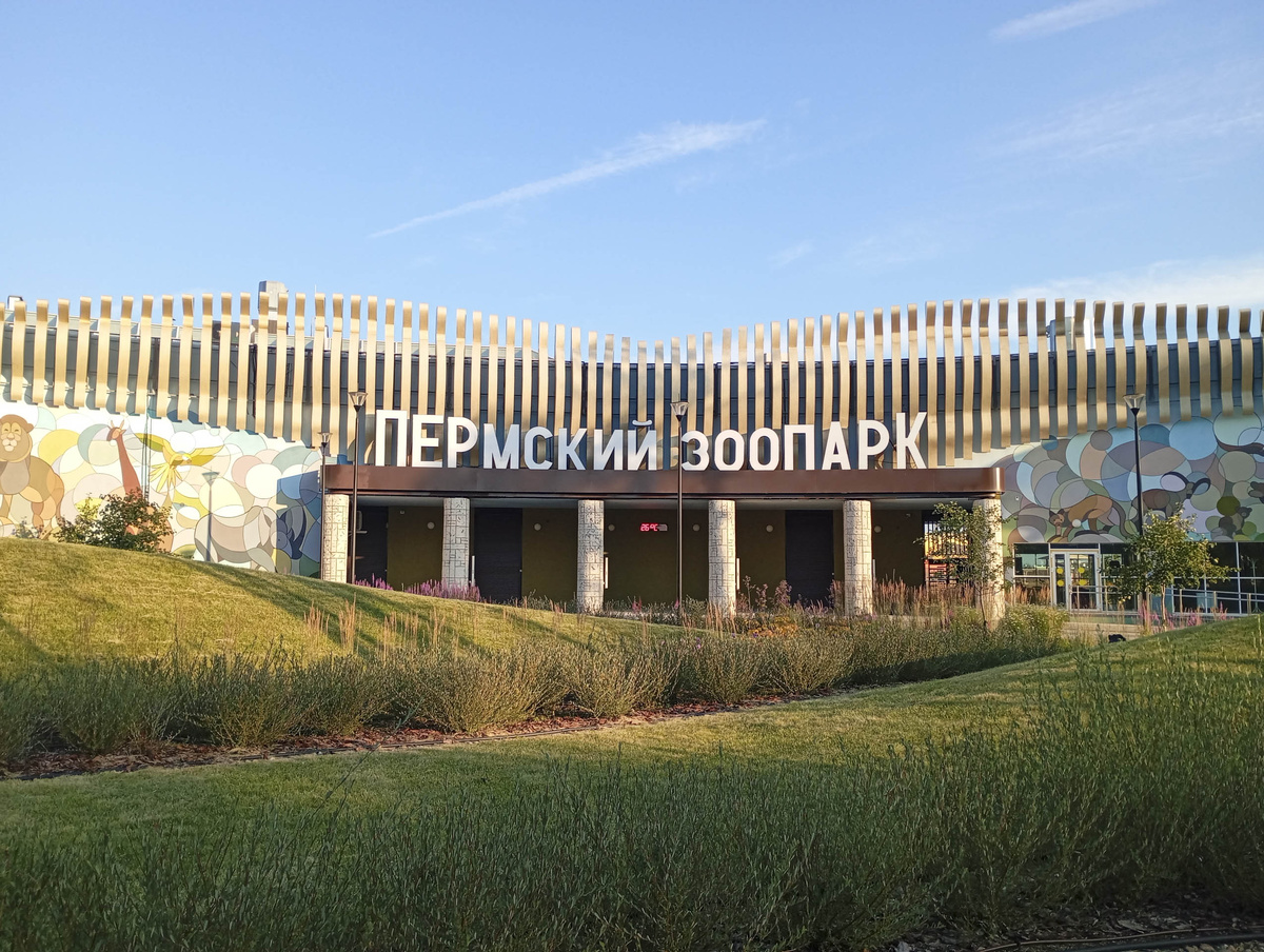 Инклюзивную экспозицию создадут на средства гранта.  Фото: Иван Новгородский