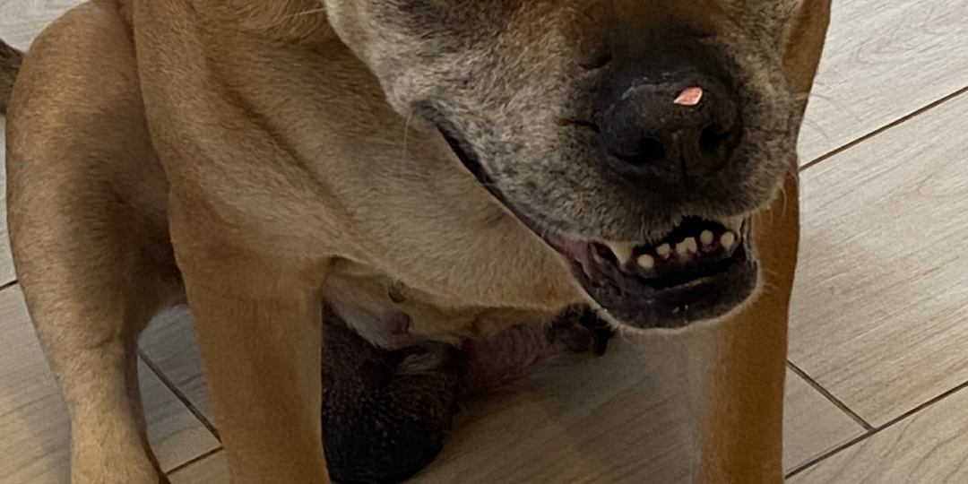 С Последней зимней пятницей .