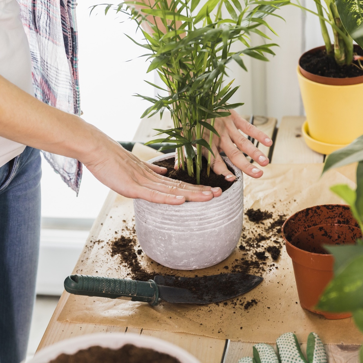 Иллюстрация с фотостока ru.freepik.com, бесплатная лицензия