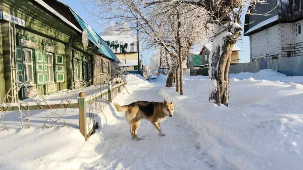 Фото: Инна Пахомова, ИА "Тюменская линия" (архив)