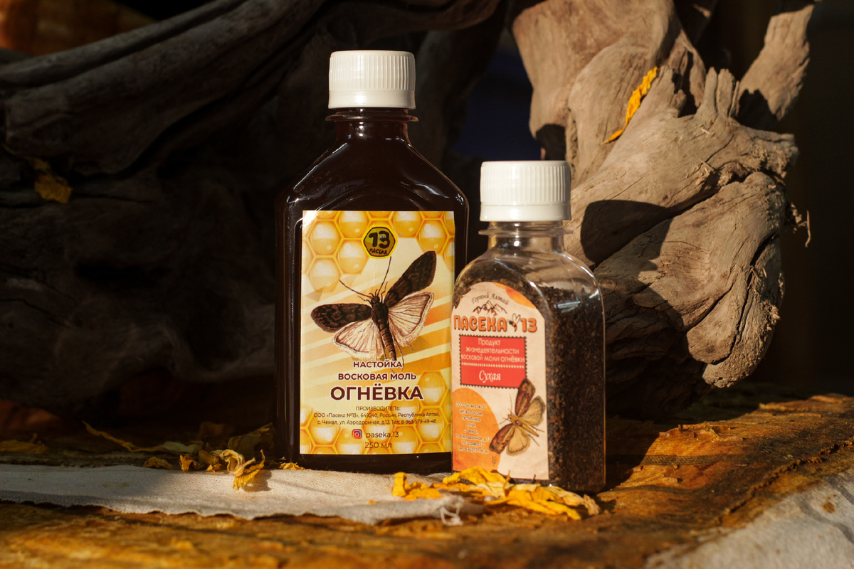 Восковая моль (Огнёвка)