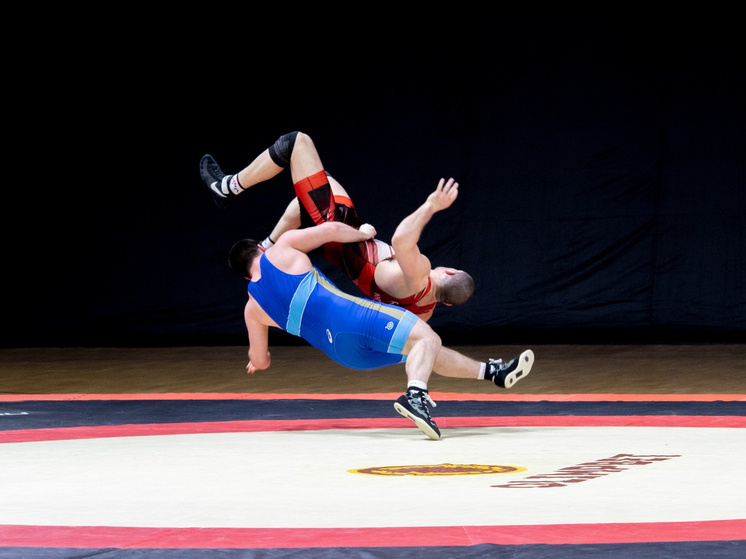     фото: Федерация спортивной борьбы России