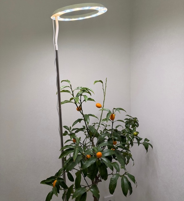    Корреспондент Пруфы.рф