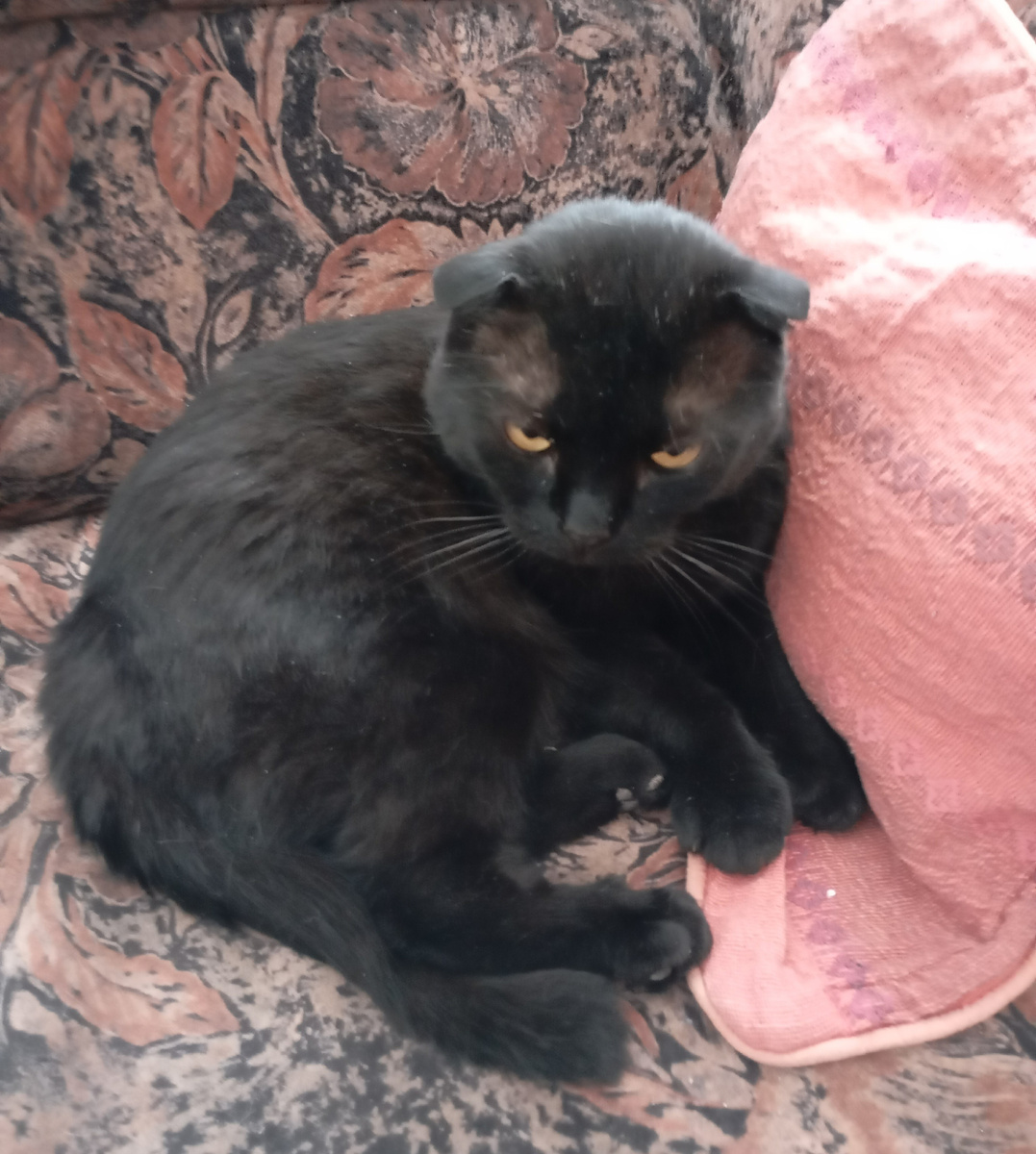 Фотография автора