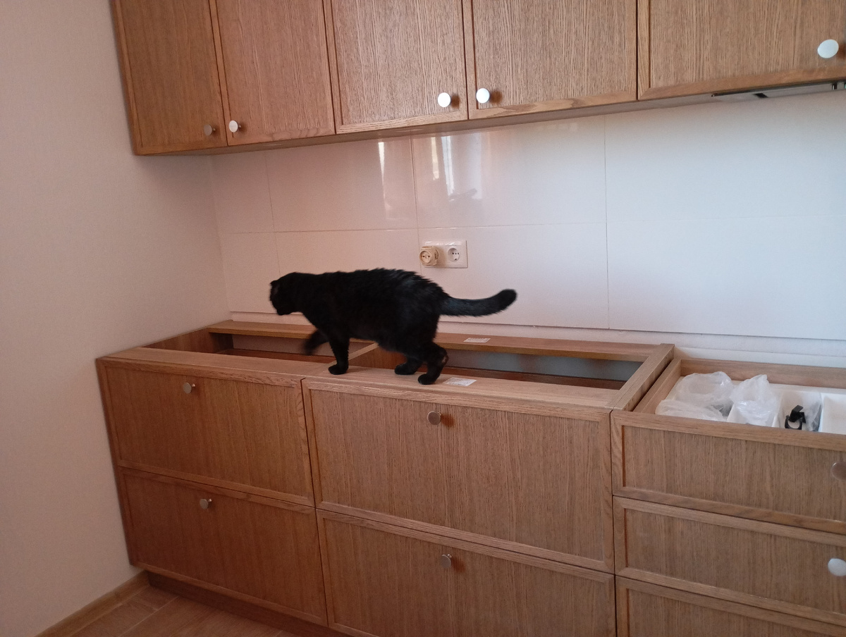 Фотография автора