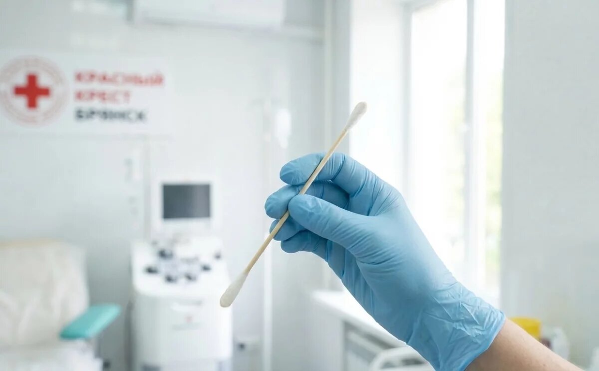    У жителей Брянска появился простой способ стать чьим-то ангелом