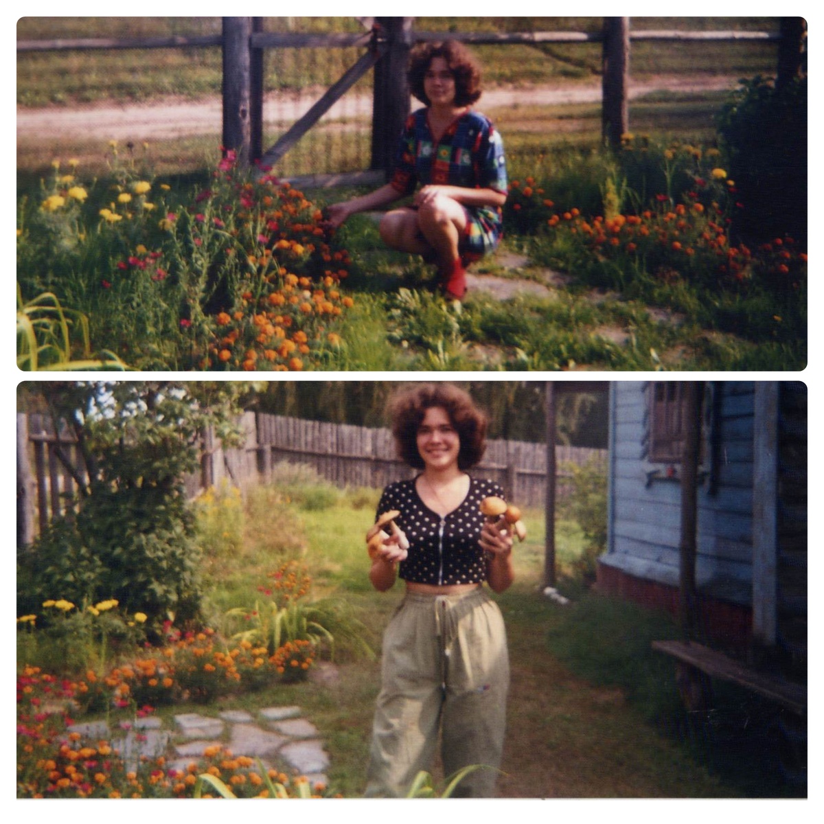 Коллаж из архивных фото автора. 2003 год, на фото сам автор. На верхнем фото дорожка до прополки, на нижнем - в скором времени после нее.