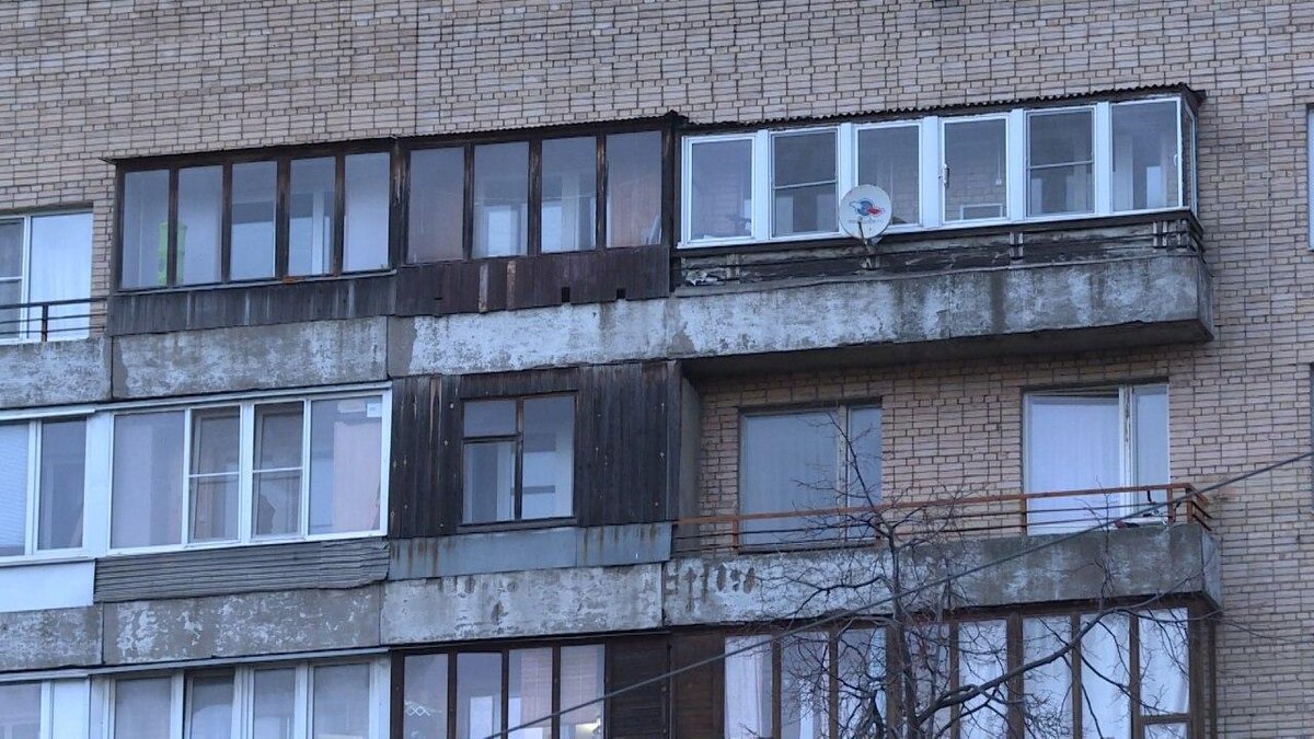    Фото: 78.ru