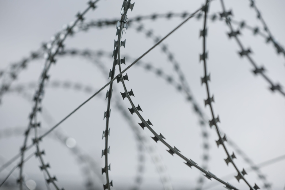    Алексей Белкин/NEWS.ru