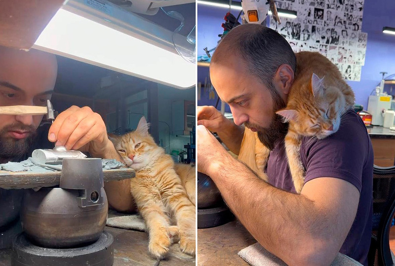 «Он тоже кубачинец»: как уличный кот добавил тепла в жизнь оружейника в пятом поколении