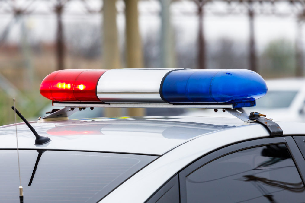    Фото: СвоёТВ/Сергей Пархисенко Светлана Уварова