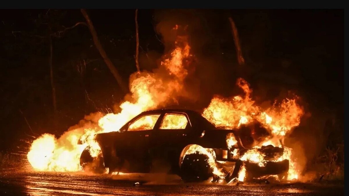    Фото: jck5055/Shutterstock/Fotodom