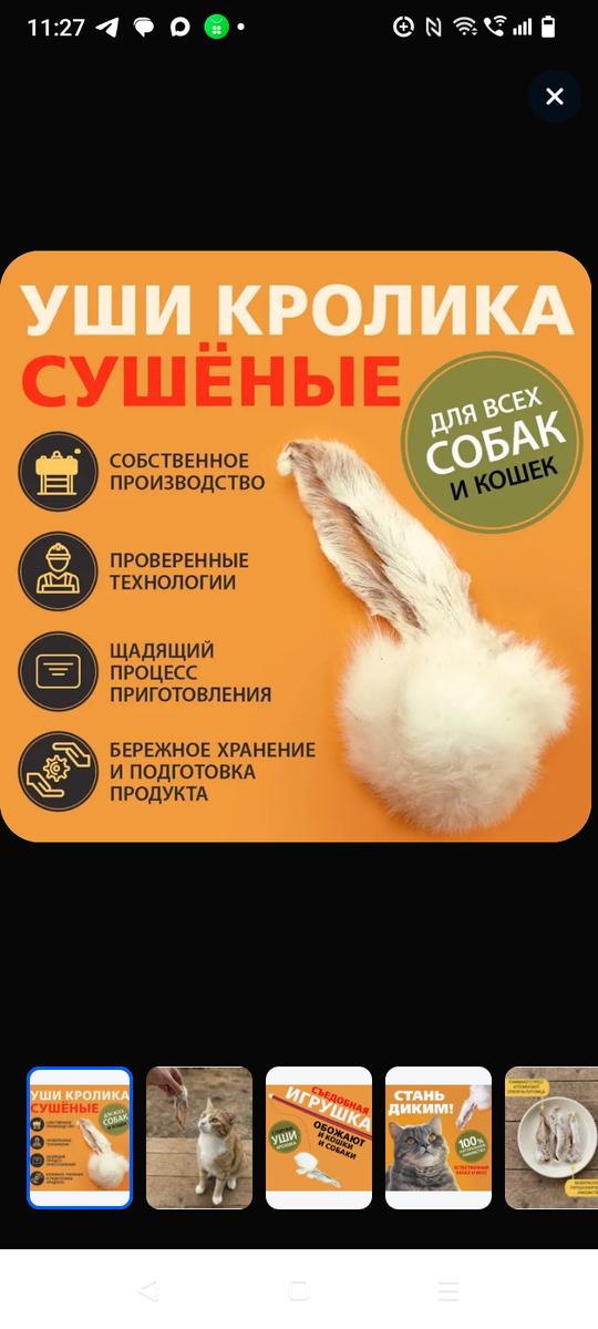 Фото из интернета.