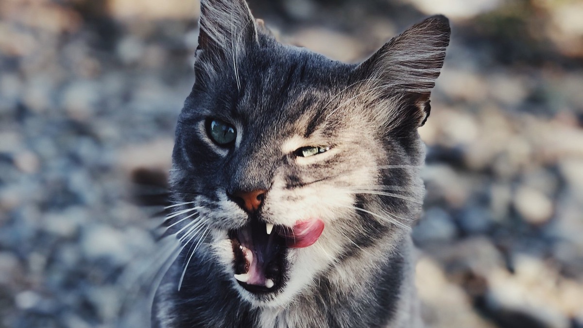    Фото несет иллюстративный характер