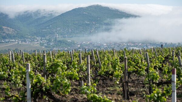    © РИА Новости . Алексей Мальгавко