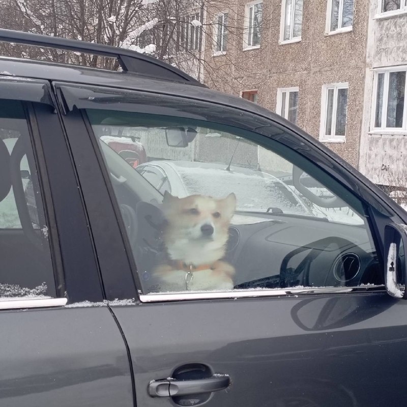 Фото: Мурманск ДТП ЧП