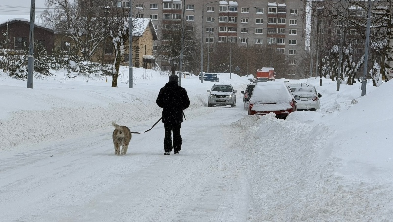    редакция портала "Город Киров.RU"