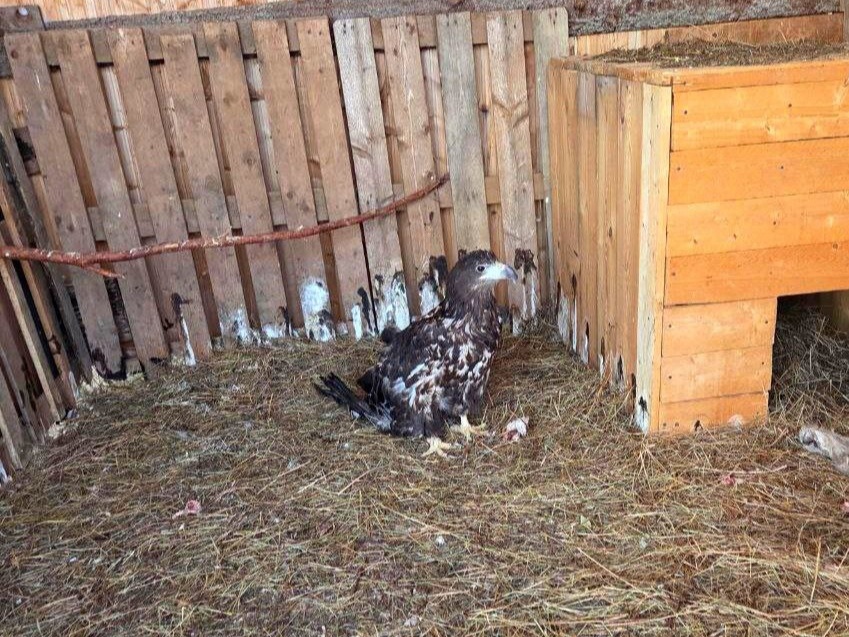    Фото: Прокуратура Пермского края