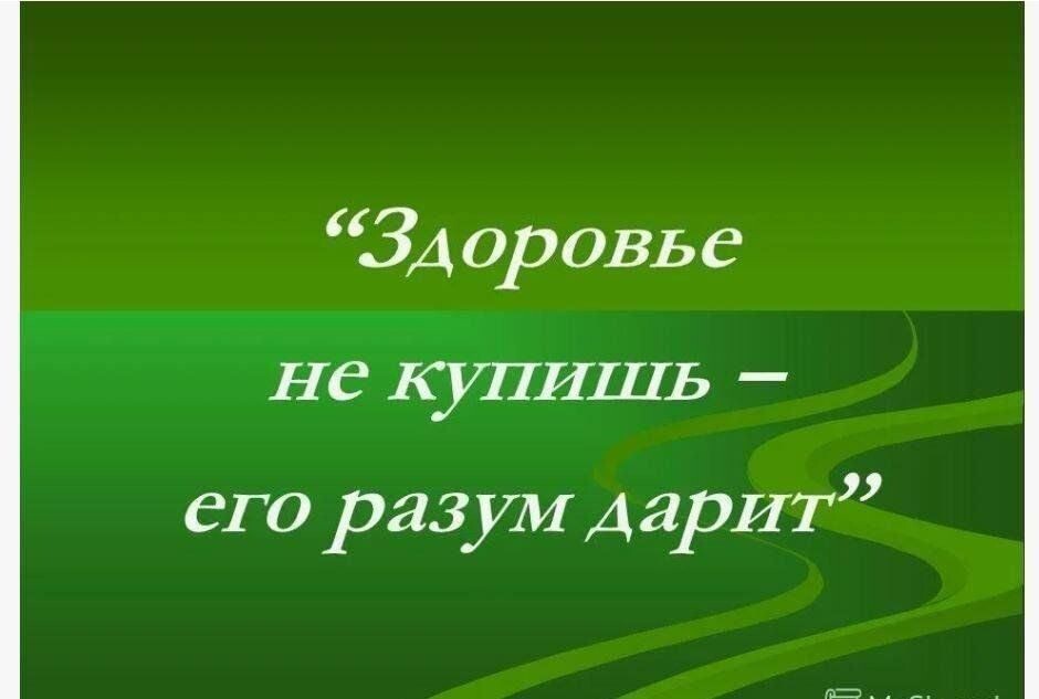 Картинка из интернета