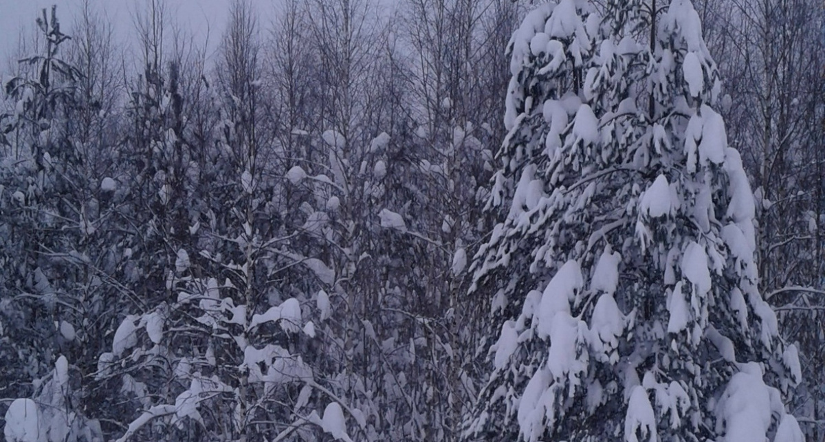    Россельхознадзор