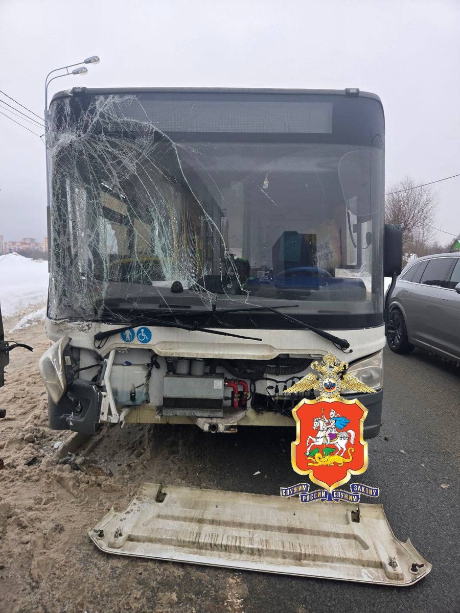   Фото: ГУ МВД России по Московской области