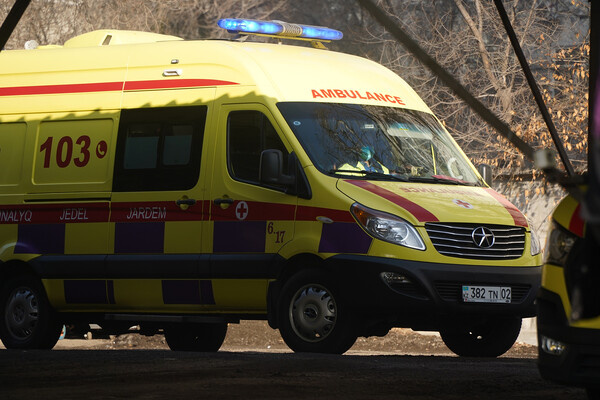 Vladimir Tretyakov/Shutterstock/FOTODOM   📷