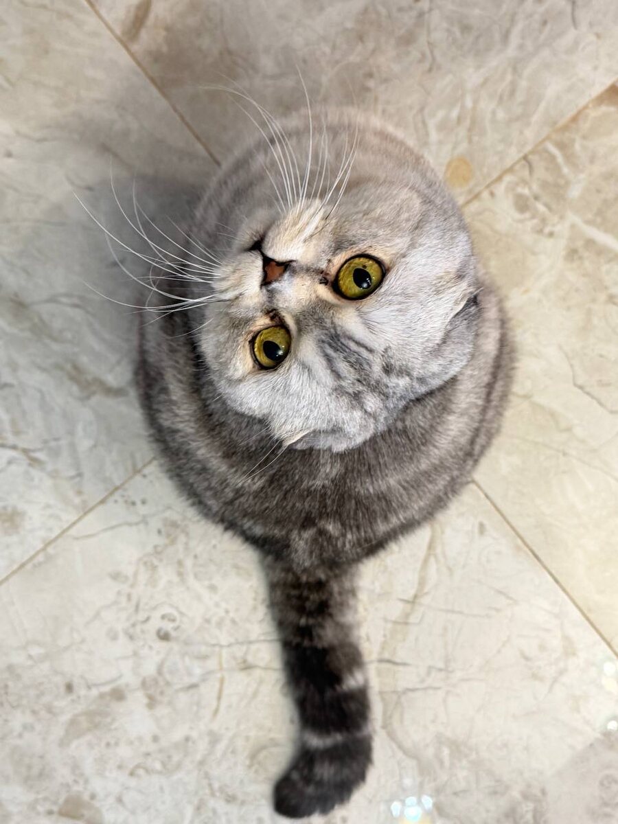 Из личного архива 