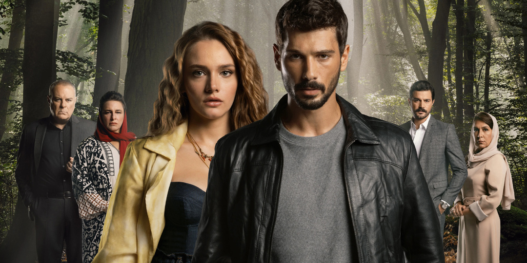 Турдизи-терапия: 10 сериалов, которые вылечат душу (и разобьют сердце)