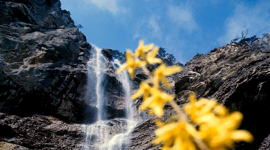 📷Фото: RIA Novosti, Дмитрий Дебабов