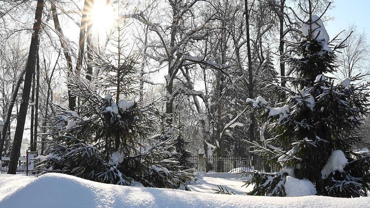    Фото: Анатолий Цымбалюк / Вечерняя Москва