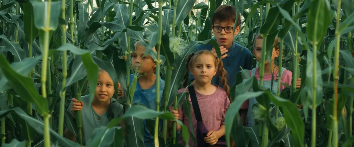 Кадр из фильма «Поле чудес»