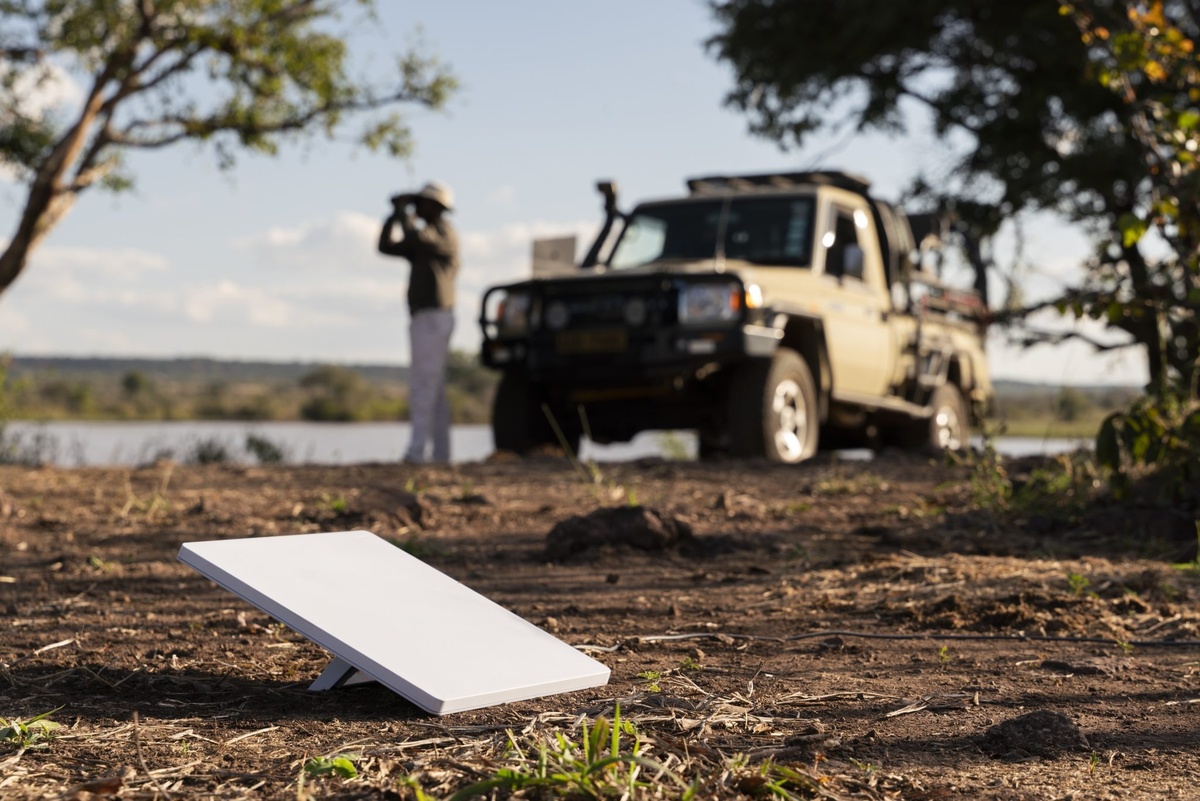 Фото Starlink  📷
