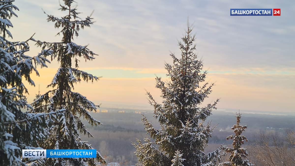    В Пермском крае ищут пропавших пятерых туристов из Уфы