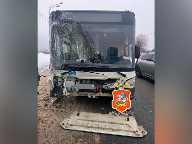    Фото: телеграм-канал "Подмосковная полиция"