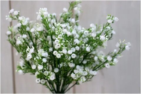 Нил Лукич и Василий Иванович!!!!