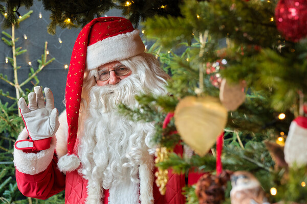 LN team/Shutterstock/FOTODOM   📷