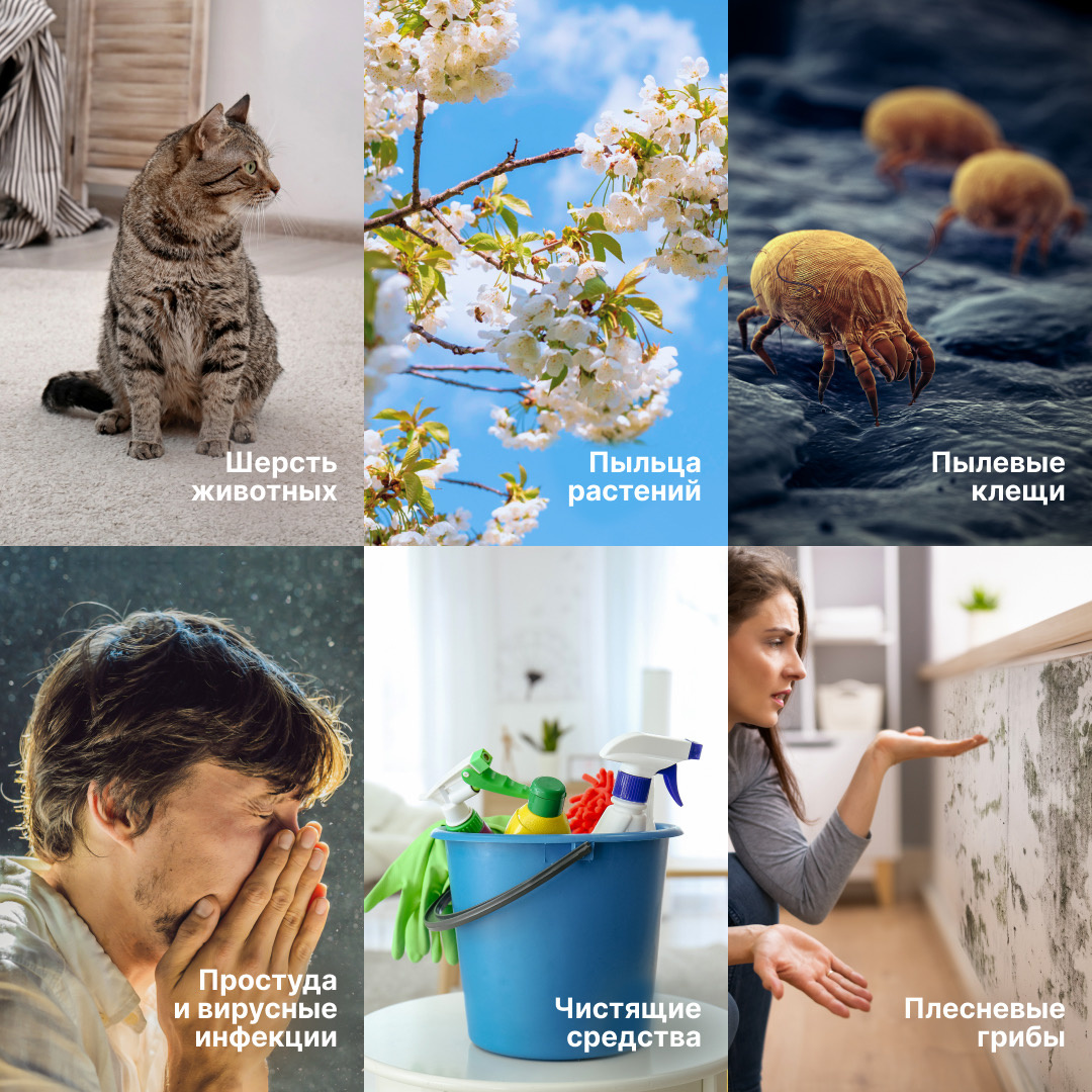 Триггеры бронхиальной астмы