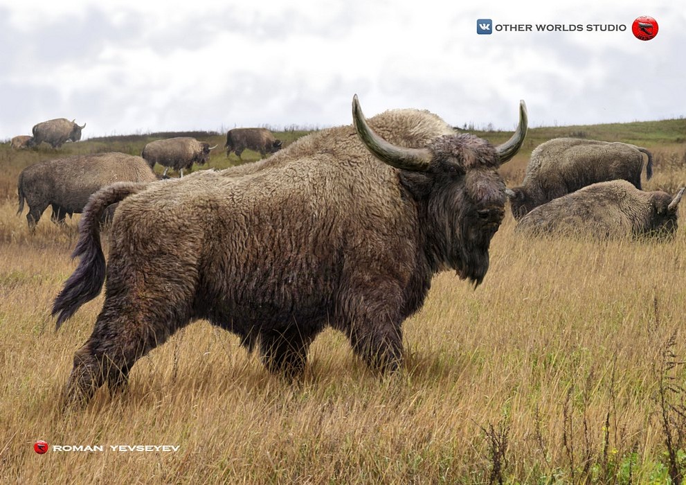 Степной бизон