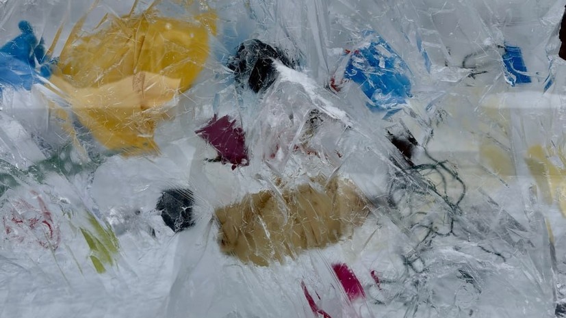    пресс-служба Дзена