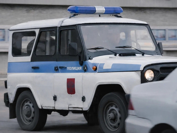     Фото: Василий Осипов