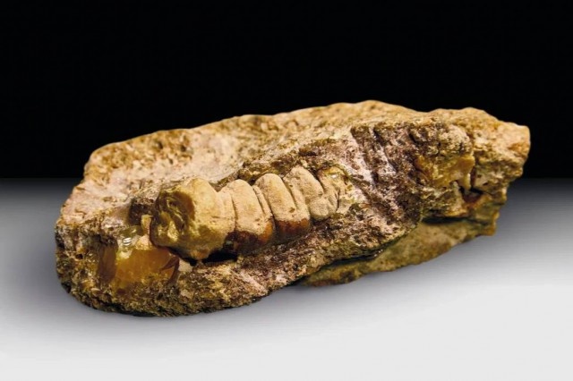   Фото: пресс-служба Янтарного комбината