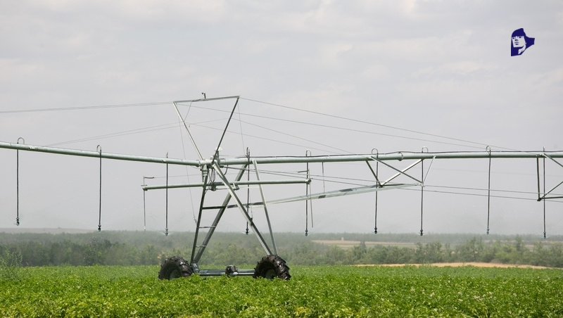      Фото: Валерия Алтухова / / ИА «Победа26