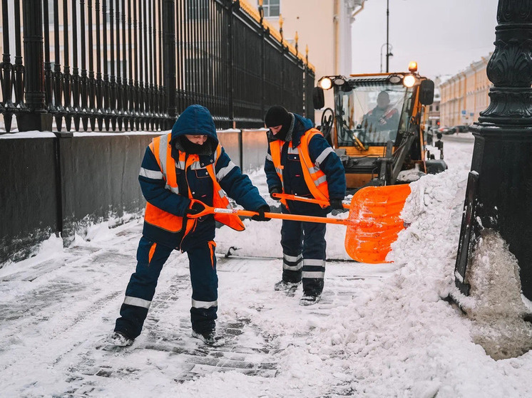     Во дворах трудится четыре тысячи дворников, а на дорогах — 1051 работник и более 1020 единиц техники. Фото: АНО «Медиа ДОМ»